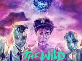 Wild Boys (2017)
