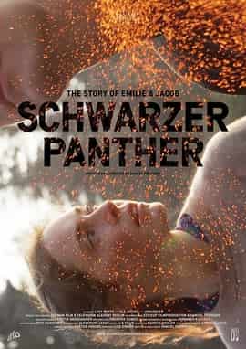 Schwarzer Panther 2014 Uncut Full Movie Watch Online HD 